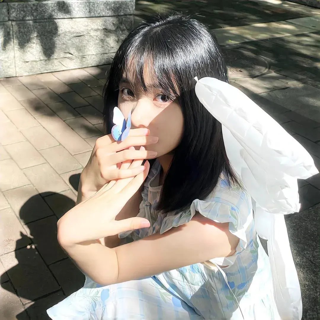 与凤飞